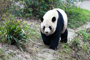 20岁布拉德利数据：贡献2解围2拦截4抢断，11次对抗成功7次